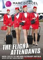 法国空乘2017(多塞尔航空)抢先版百度